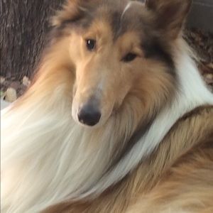 Meet your Posher, Denise